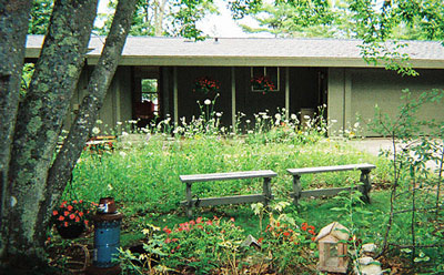 Lake Michigan rental cottage- Shadows of Seagulls