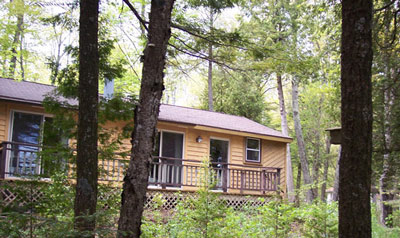 Rental Cabin 1