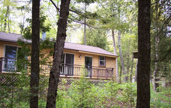 Door County rental cabin- Shadows of Seagulls