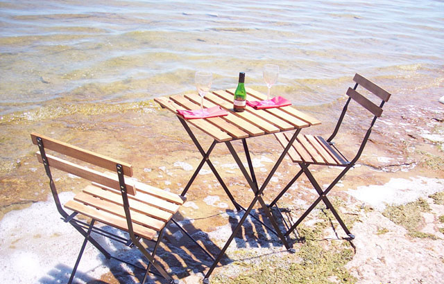 Lake Michigan rental beach